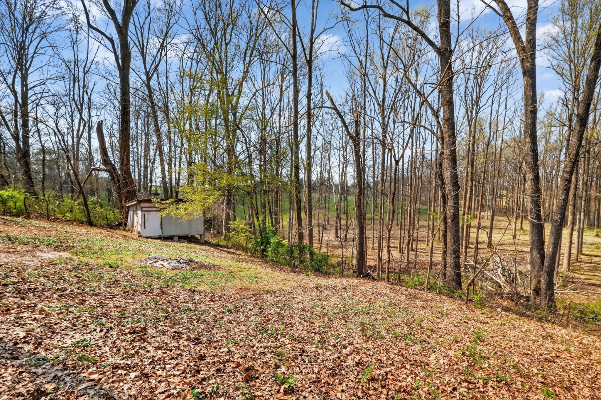 285 George Akins Road Westmoreland, TN 37186 - Photo 18 of 26 a backyard of a house with lots of green space