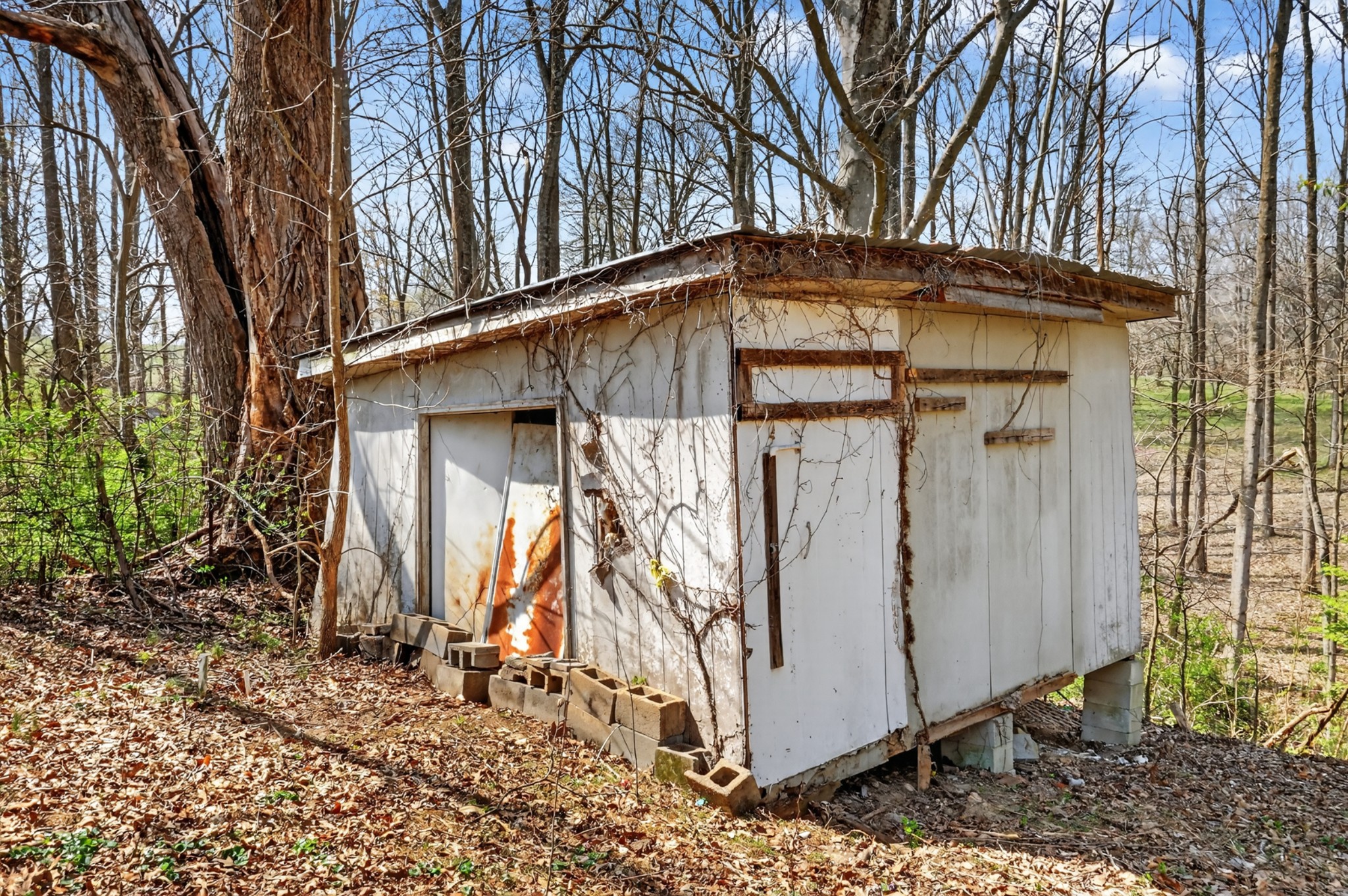 285 George Akins Road Westmoreland, TN 37186 - Photo 20 of 26 a view of a small house with a small yard and large trees