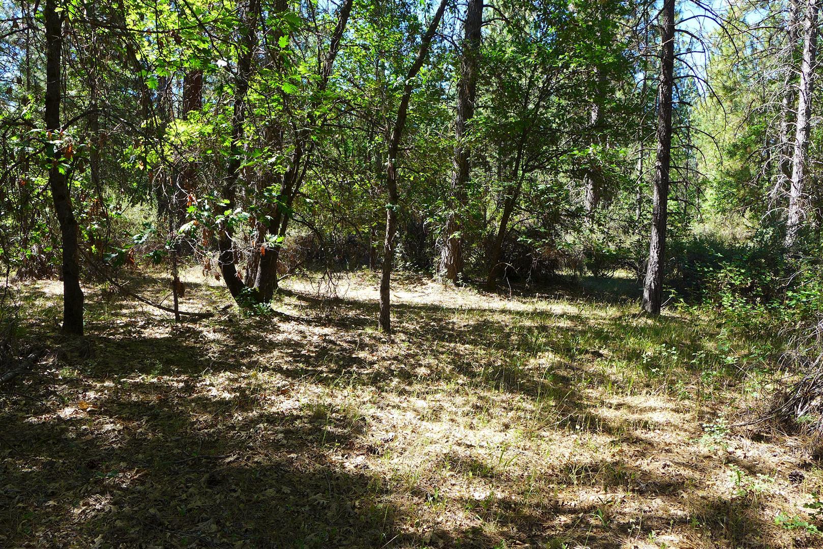 50.5-ac 50.5-ac Smiling Ranch Road Whitmore, CA 96096 - Photo 11 of 16 a view of outdoor space and yard
