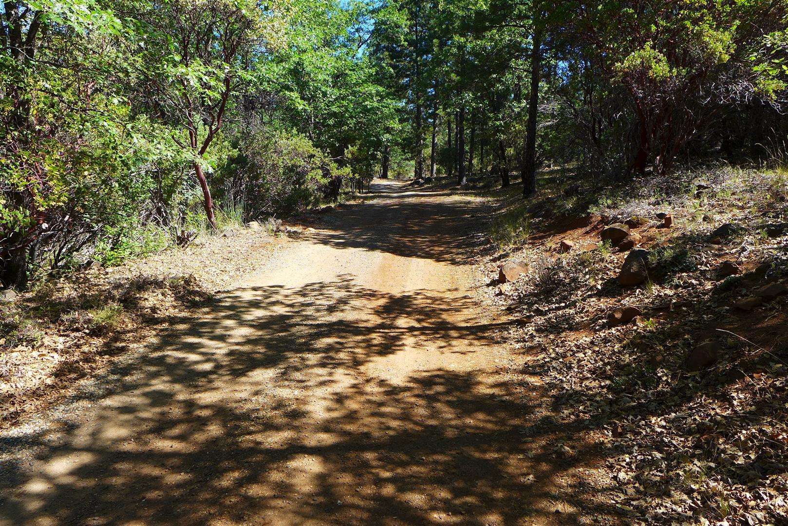 50.5-ac 50.5-ac Smiling Ranch Road Whitmore, CA 96096 - Photo 5 of 16 a view of water covered with trees