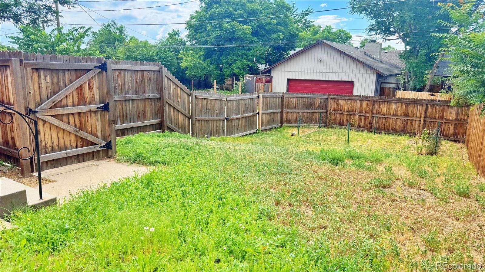 3349 Adams Street Denver, CO 80205 - Photo 29 of 31 a view of backyard with wooden fence and a large tree