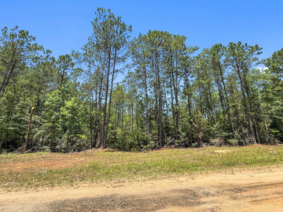 Tbd Hickman Road Burkeville, TX 75932 - Photo 25 of 45