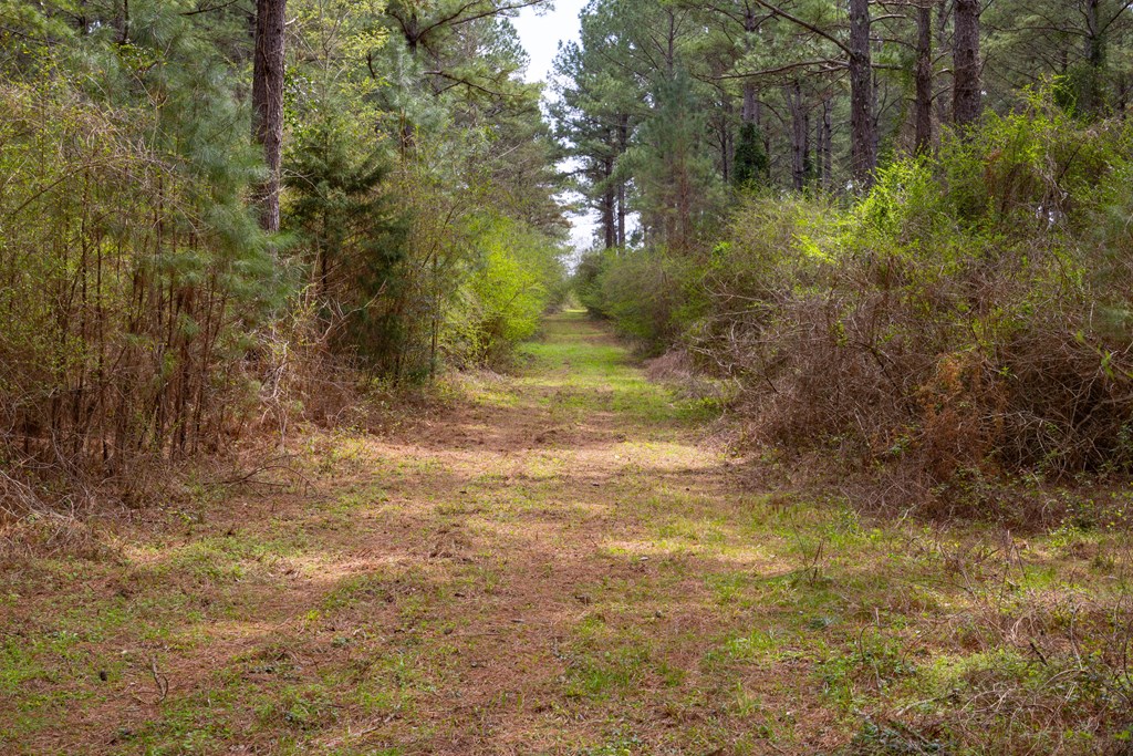 0 Double Creek Road Coffee Springs, AL 36318 - Photo 7 of 24