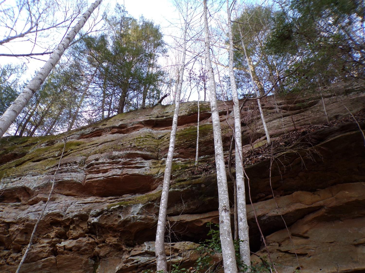 4200 Forest Service Road London, KY 40744 - Photo 26 of 44 Photo 26