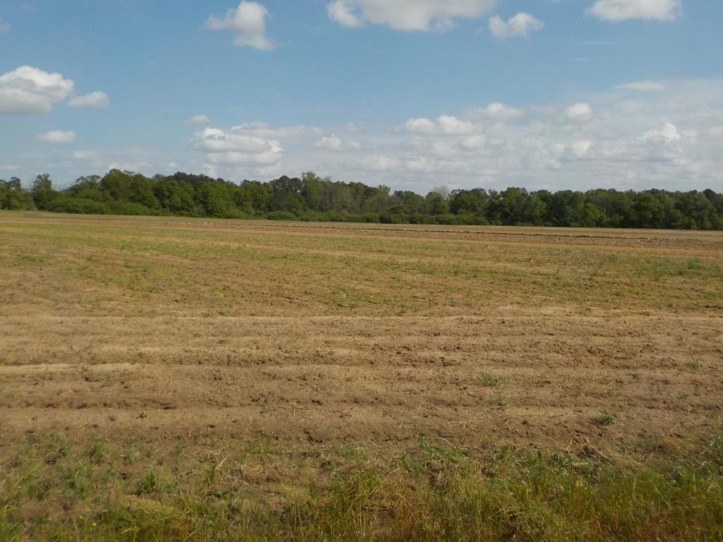 5.3-ac Memphis Church Road Dothan, AL 36301 - Photo 19 of 29