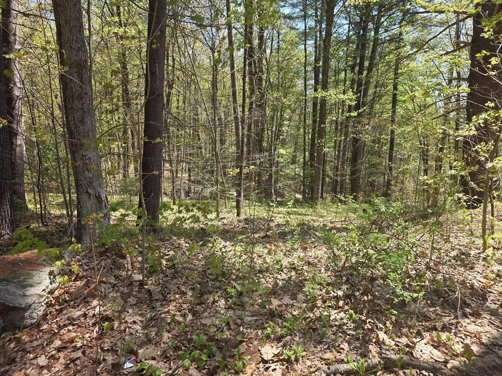 Lot 3 Beacon Street Orange, MA 01364 - Photo 1 of 4 a view of outdoor space and garden