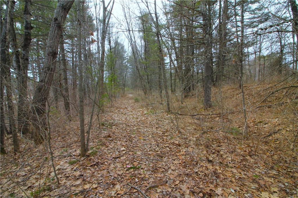0 River Road Buxton, ME 04093 - Photo 11 of 13 Path