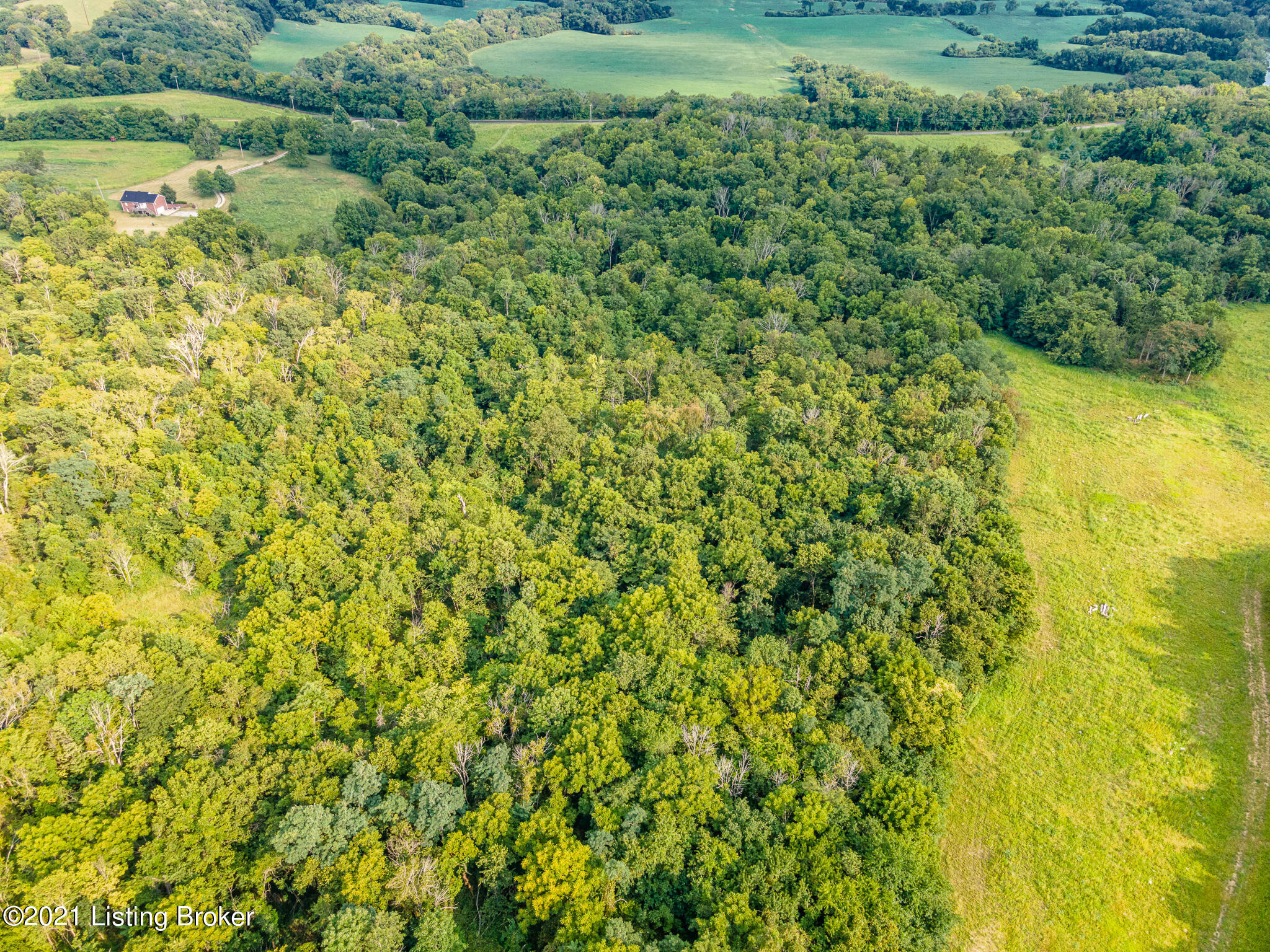DJI_0002