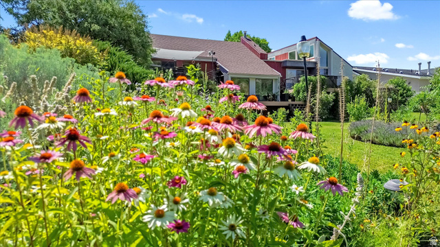 510 Spring Creek Road Providence, UT 84332 - Photo 63 of 97 Vibrant perennial garden with various flowering plants, including purple coneflowers and white daisies