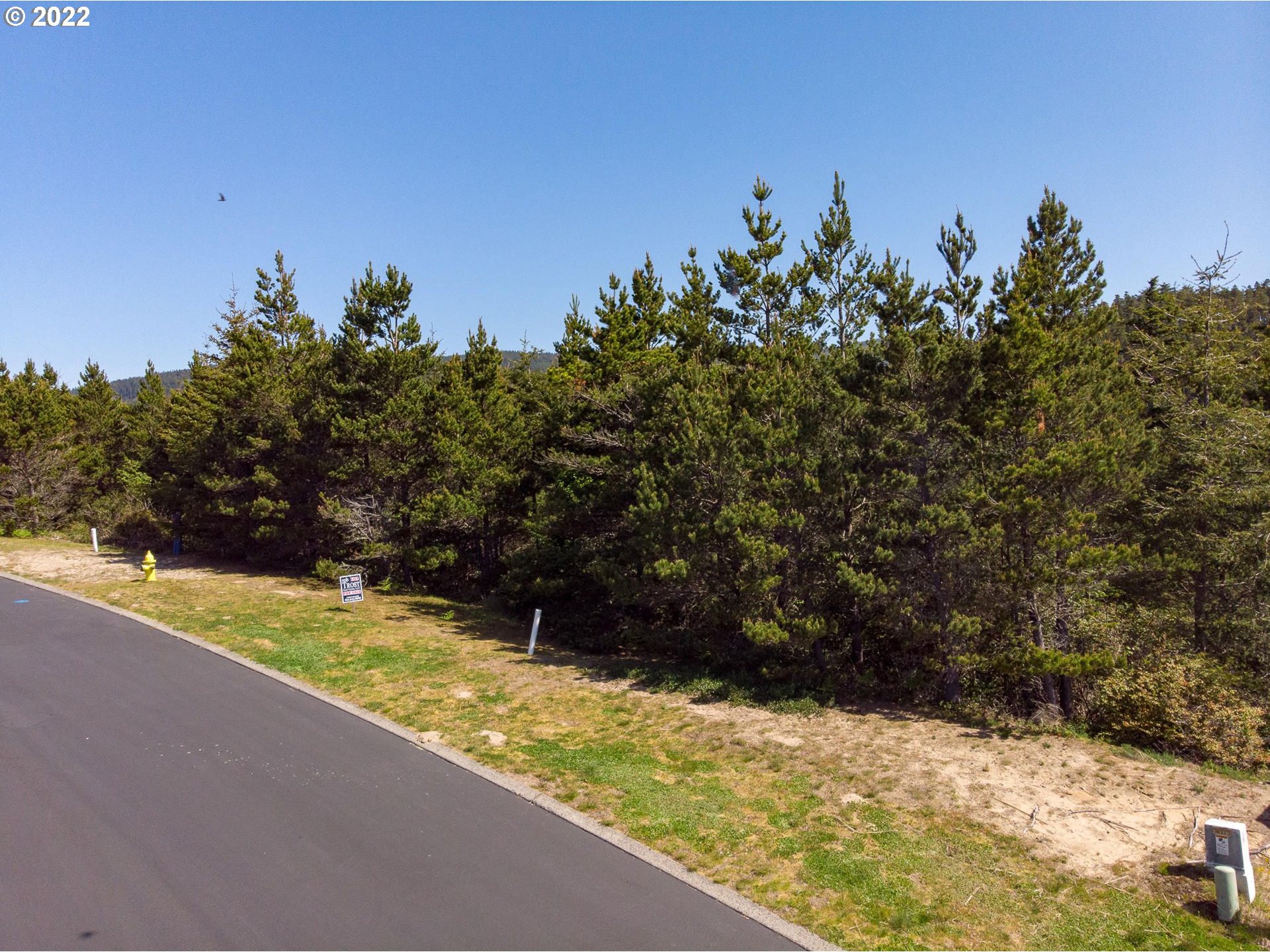 Promontory Lane Tillamook, OR 97141 - Photo 10 of 11 a view of a yard with a tree