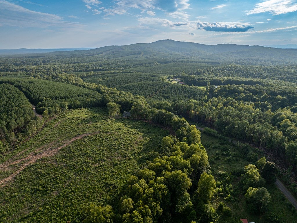 Meadow Creek Road, Unit A&B Wingina, VA 24599 - Photo 15 of 23 Gallery Image 15