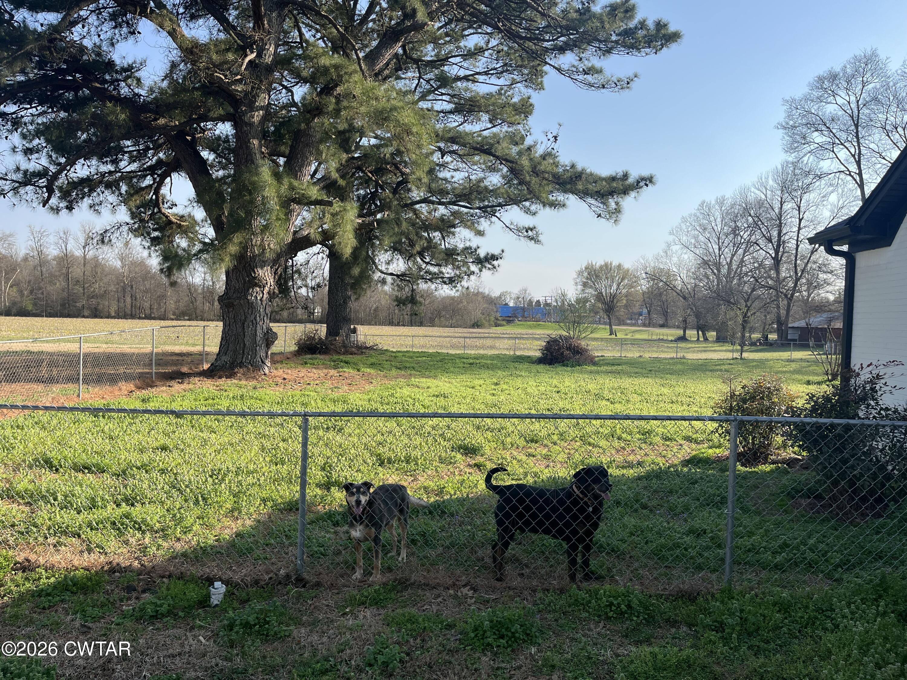 603 Cades Atwood Road Milan, TN 38358 - Photo 20 of 20 IMG_2990