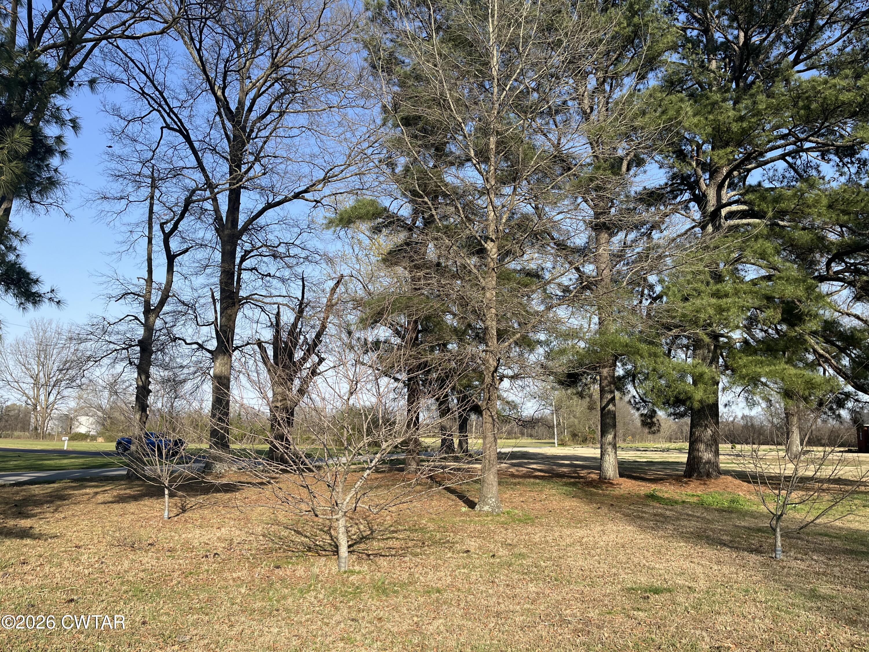 603 Cades Atwood Road Milan, TN 38358 - Photo 7 of 20 IMG_2995