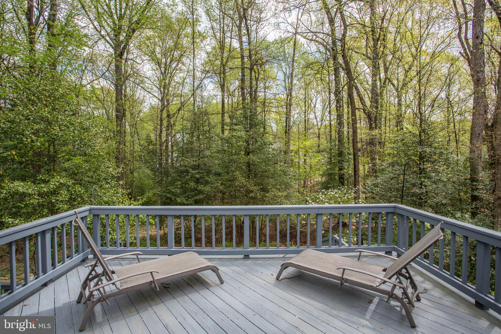 2505 Goldcup Lane Reston, VA 20191 - Photo 13 of 84