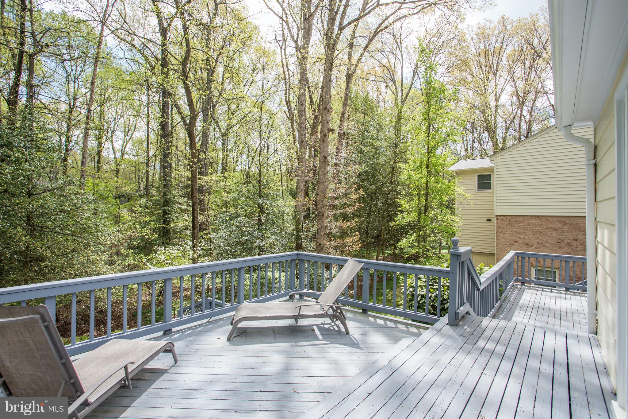 2505 Goldcup Lane Reston, VA 20191 - Photo 15 of 84