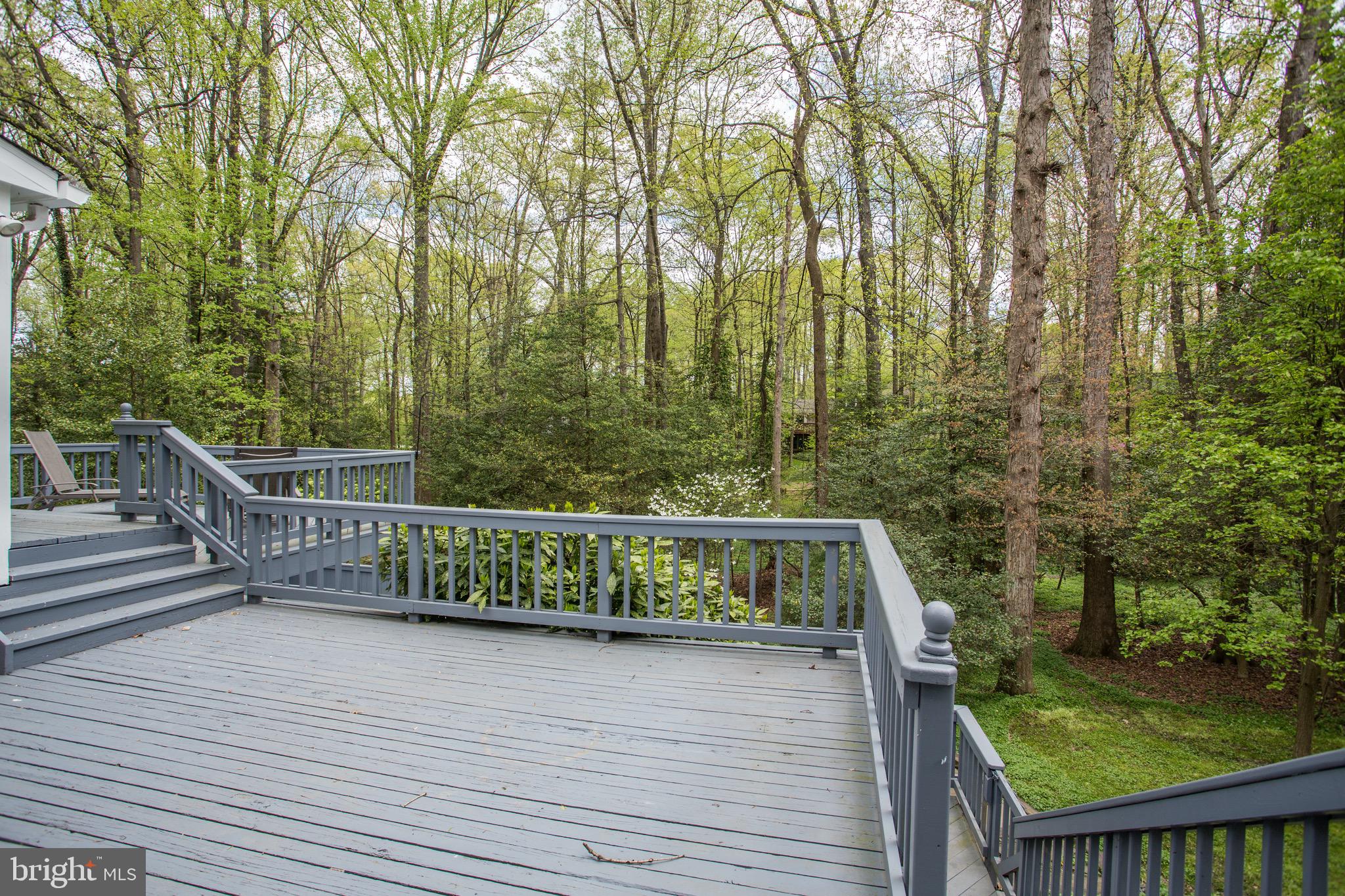 2505 Goldcup Lane Reston, VA 20191 - Photo 21 of 84