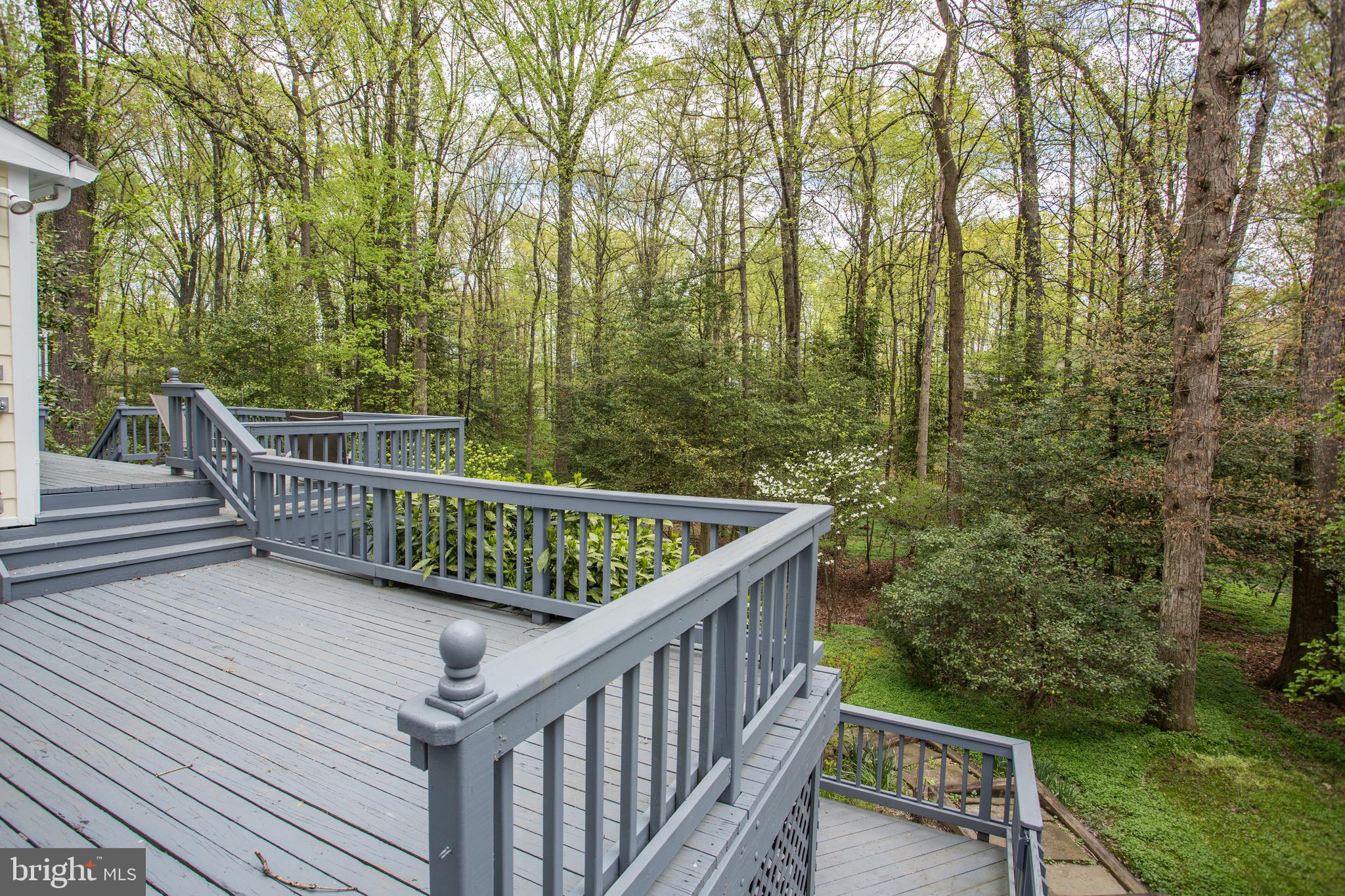 2505 Goldcup Lane Reston, VA 20191 - Photo 22 of 84