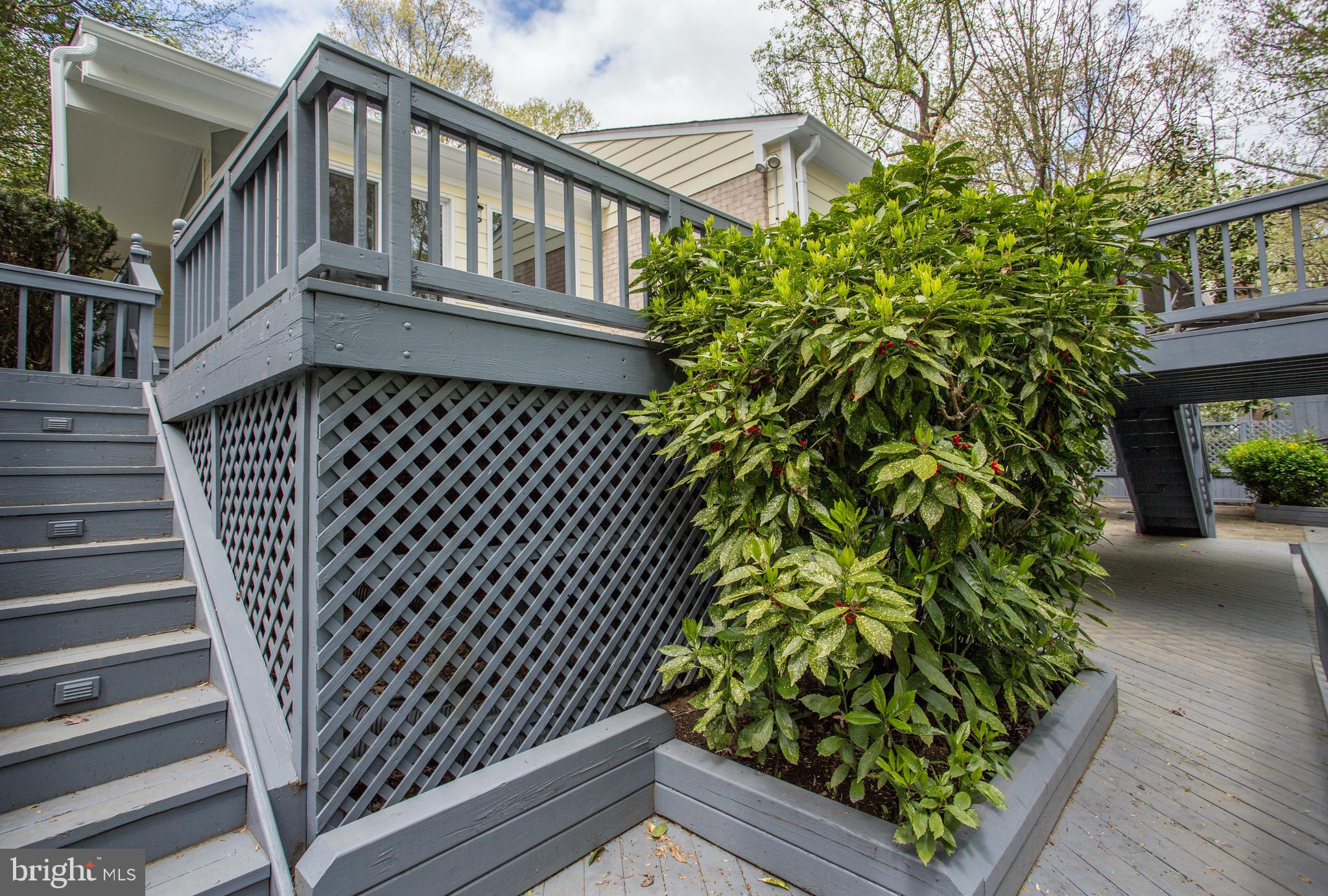 2505 Goldcup Lane Reston, VA 20191 - Photo 25 of 84