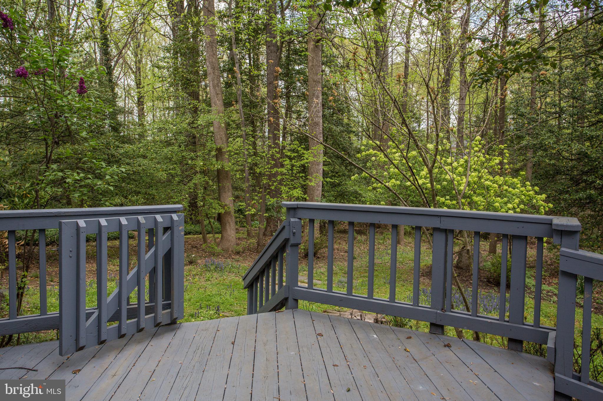 2505 Goldcup Lane Reston, VA 20191 - Photo 29 of 84