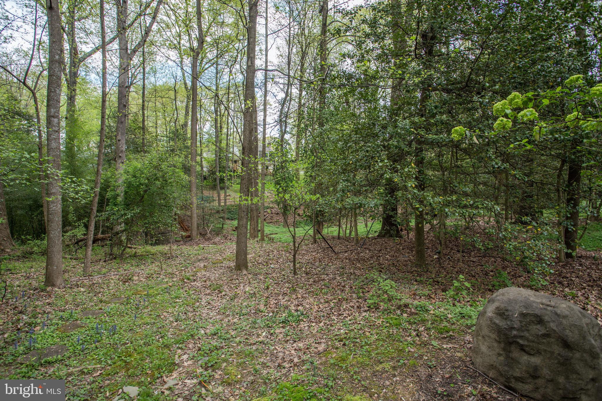 2505 Goldcup Lane Reston, VA 20191 - Photo 39 of 84