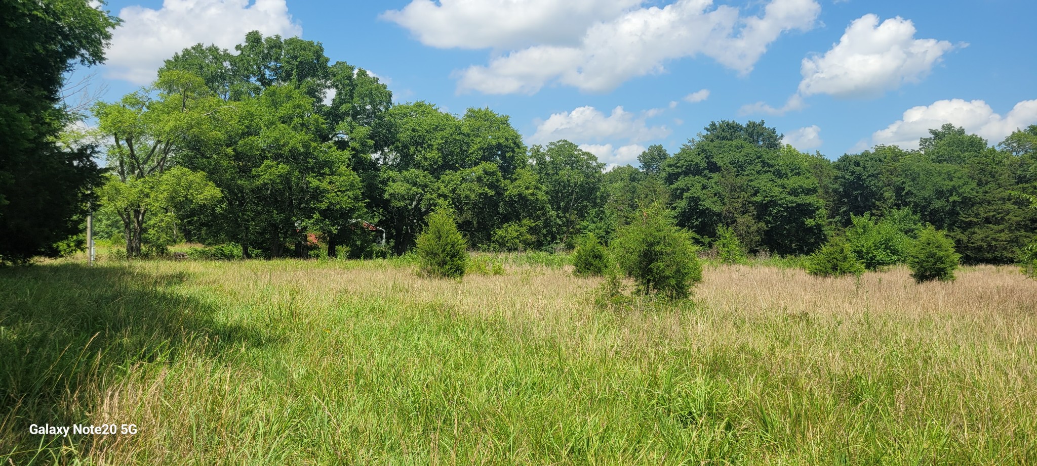 2 Clem Creek Road Chapel Hill, TN 37034 - Photo 9 of 9