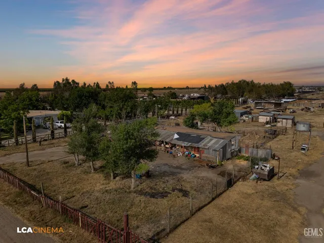 a view of a dry yard with trees