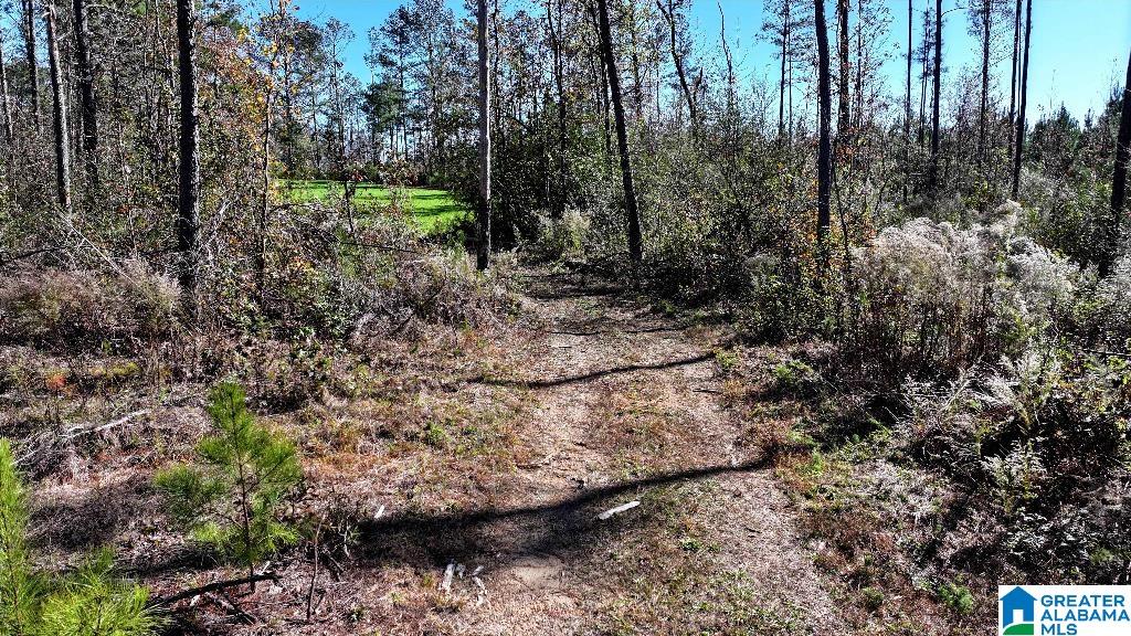 200 Kelly Creek Road Odenville, AL 35120 - Photo 29 of 47