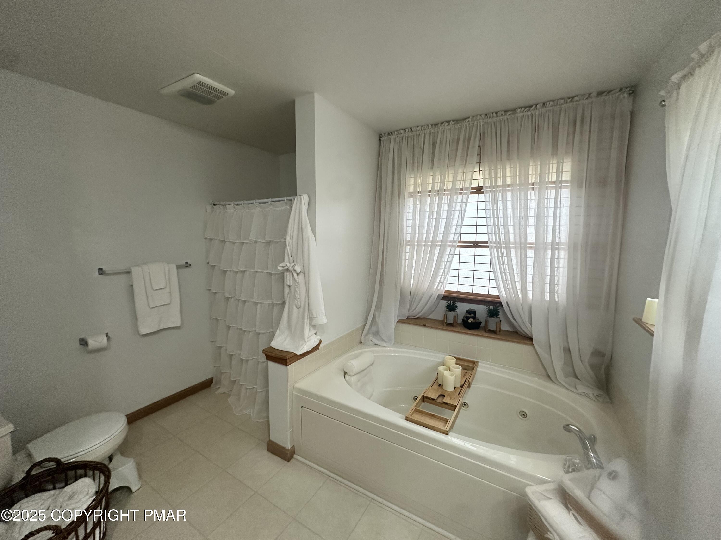 107 Horseshoe Drive Effort, PA 18330 - Photo 50 of 72 Primary Bath