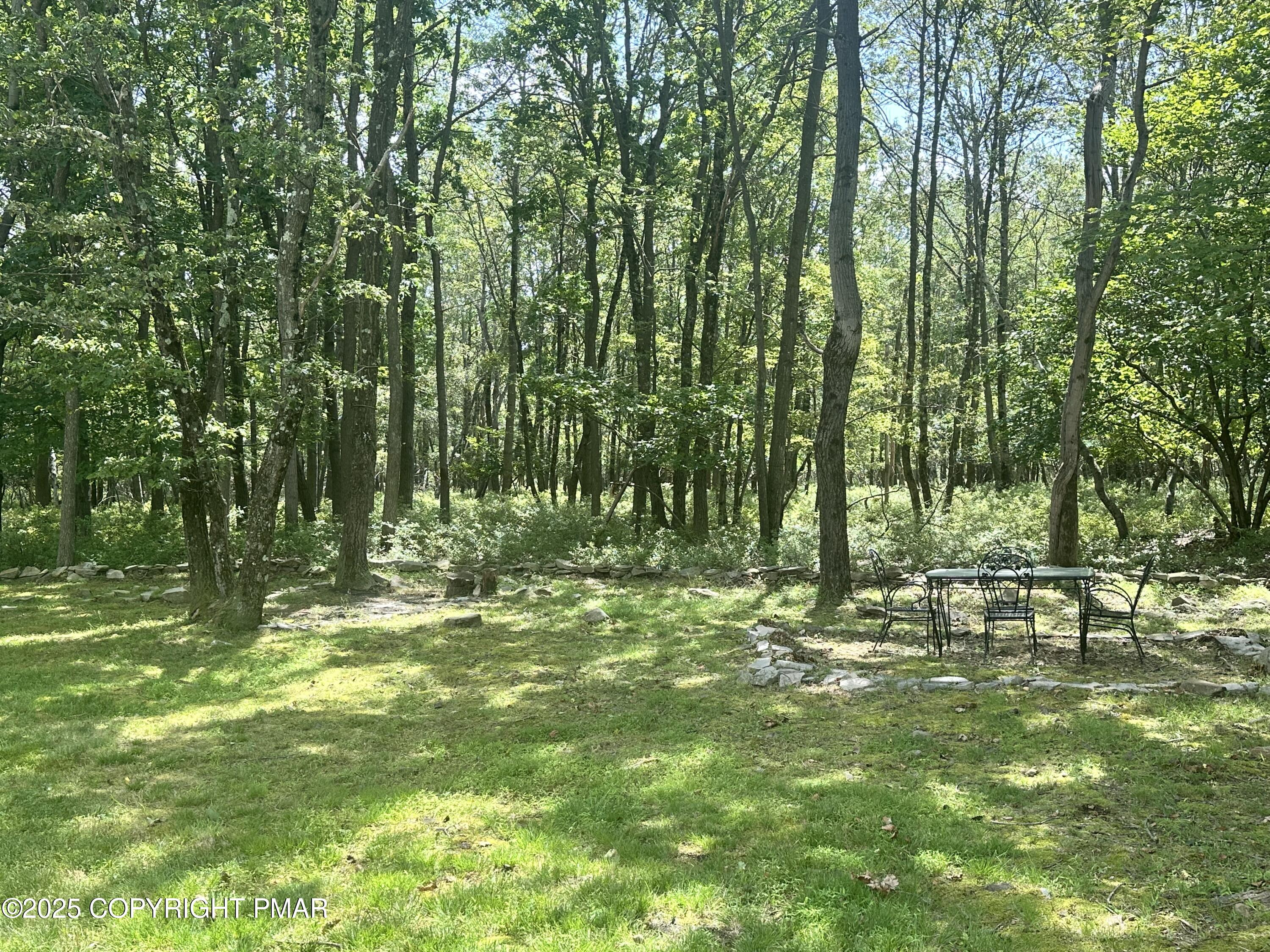107 Horseshoe Drive Effort, PA 18330 - Photo 70 of 72 a view of outdoor space with a garden