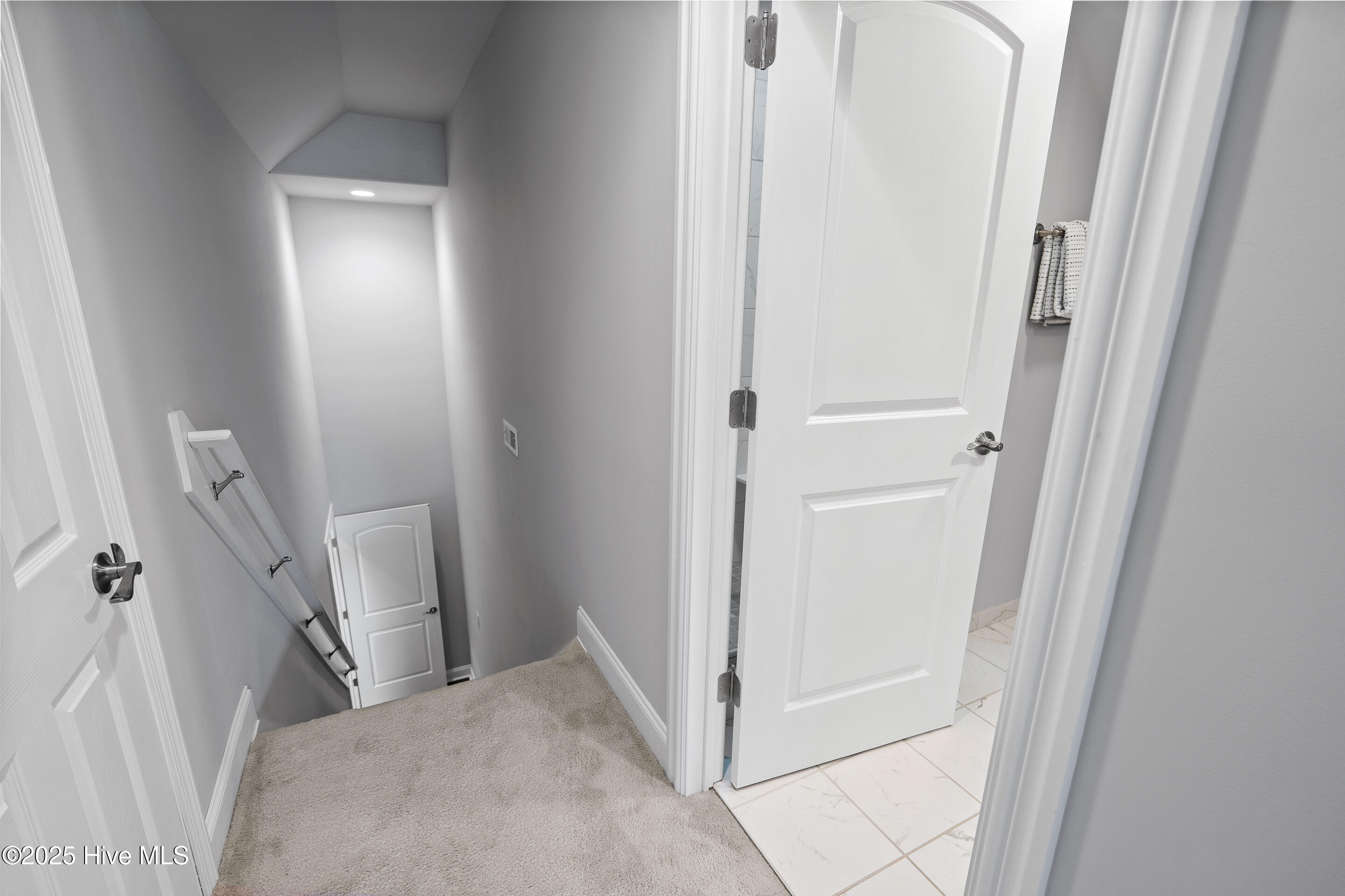 662 Jenoa Loop Castle Hayne, NC 28429 - Photo 39 of 53 662 Jenoa Dr MLS-38