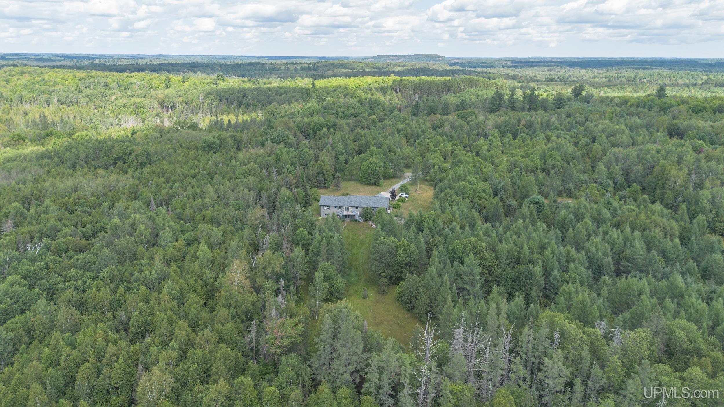 6551 Caps Creek Road Republic, MI 49879 - Photo 5 of 60 Gallery Image 5