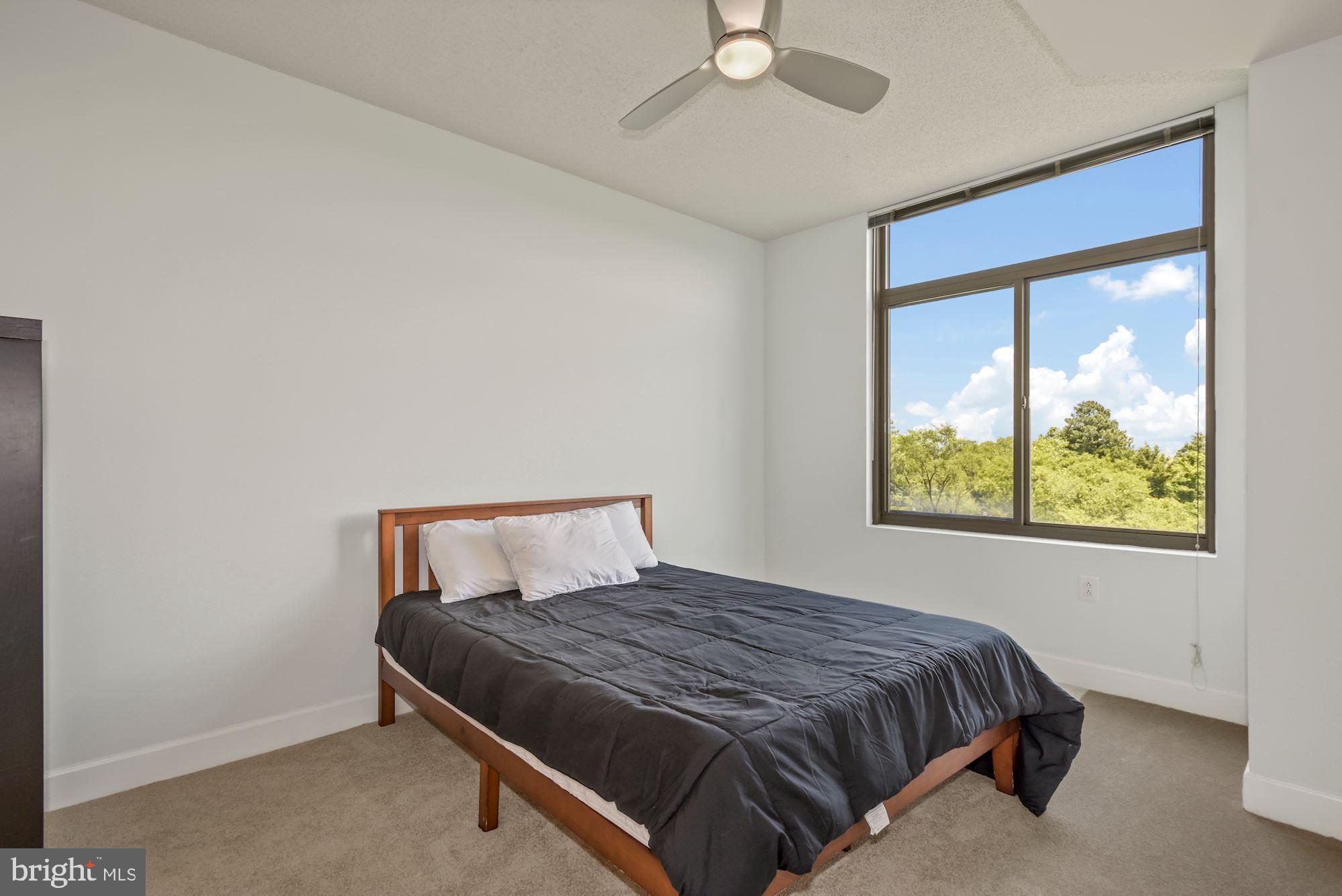3650 South Glebe Road, Unit 354 Arlington, VA 22202 - Photo 17 of 30 Spacious Master with a View of the Skyline