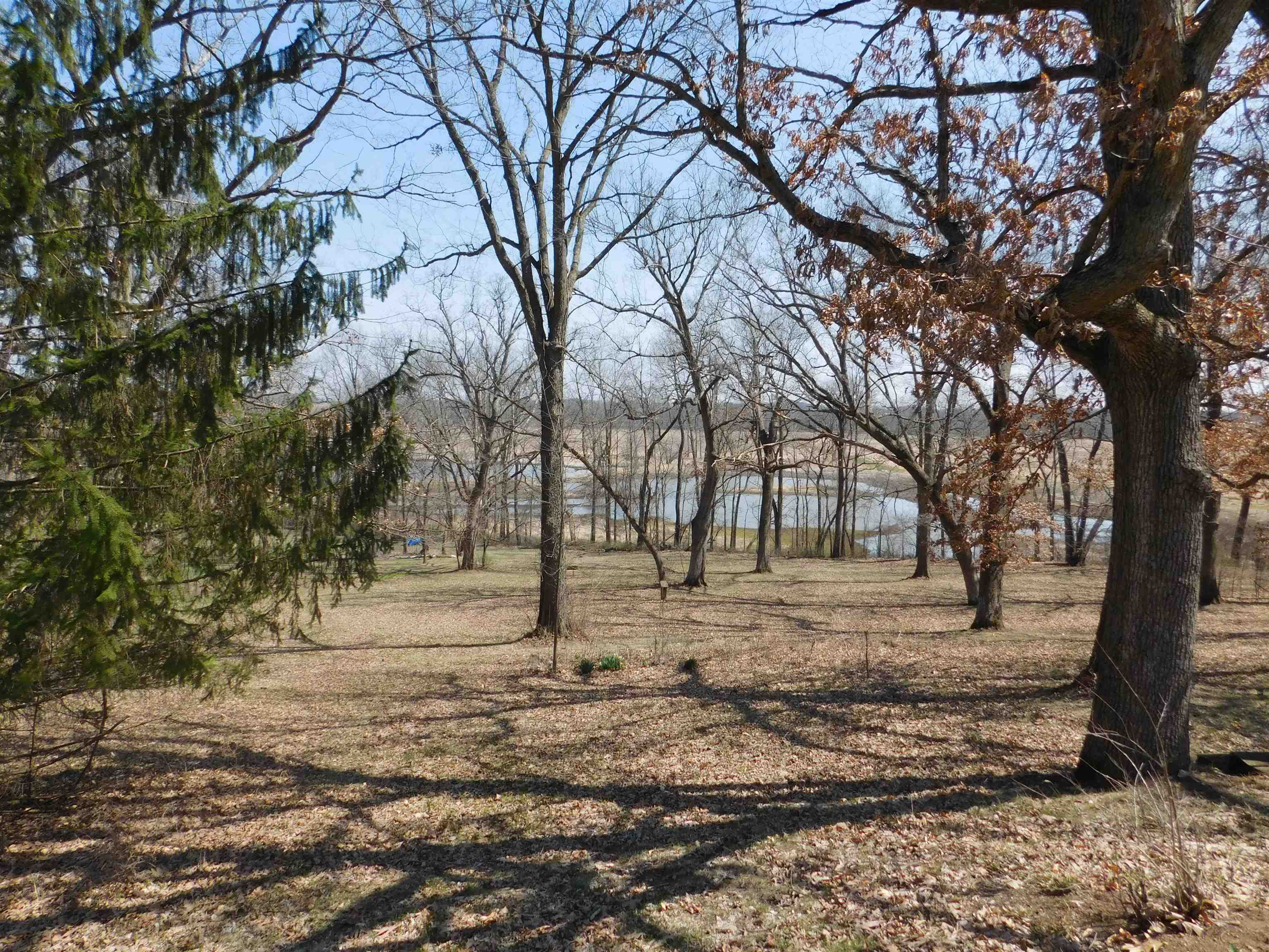 4103 North AYP Road Lena, IL 61048 - Photo 12 of 96