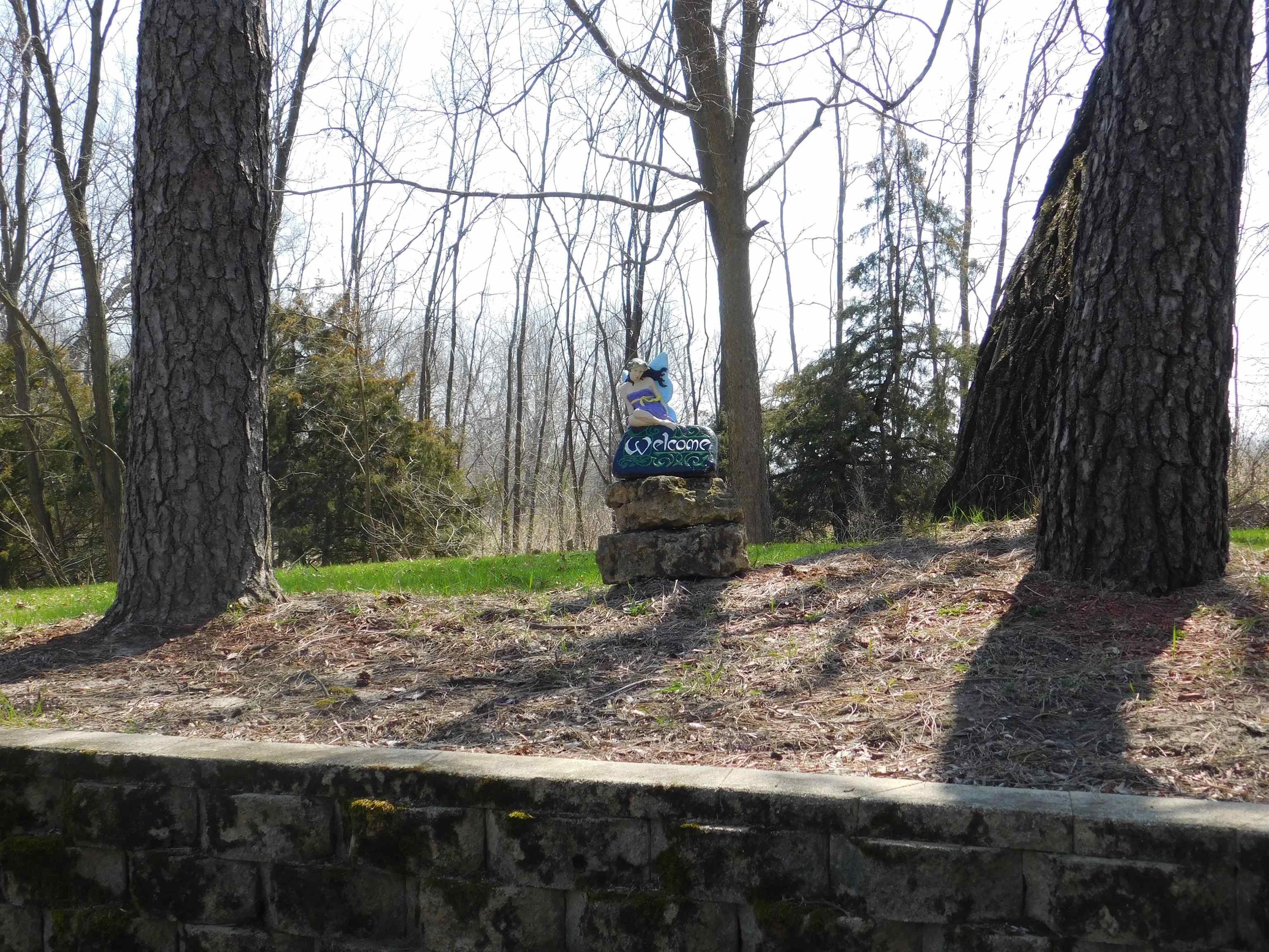 4103 North AYP Road Lena, IL 61048 - Photo 25 of 96 a view of a backyard with large trees