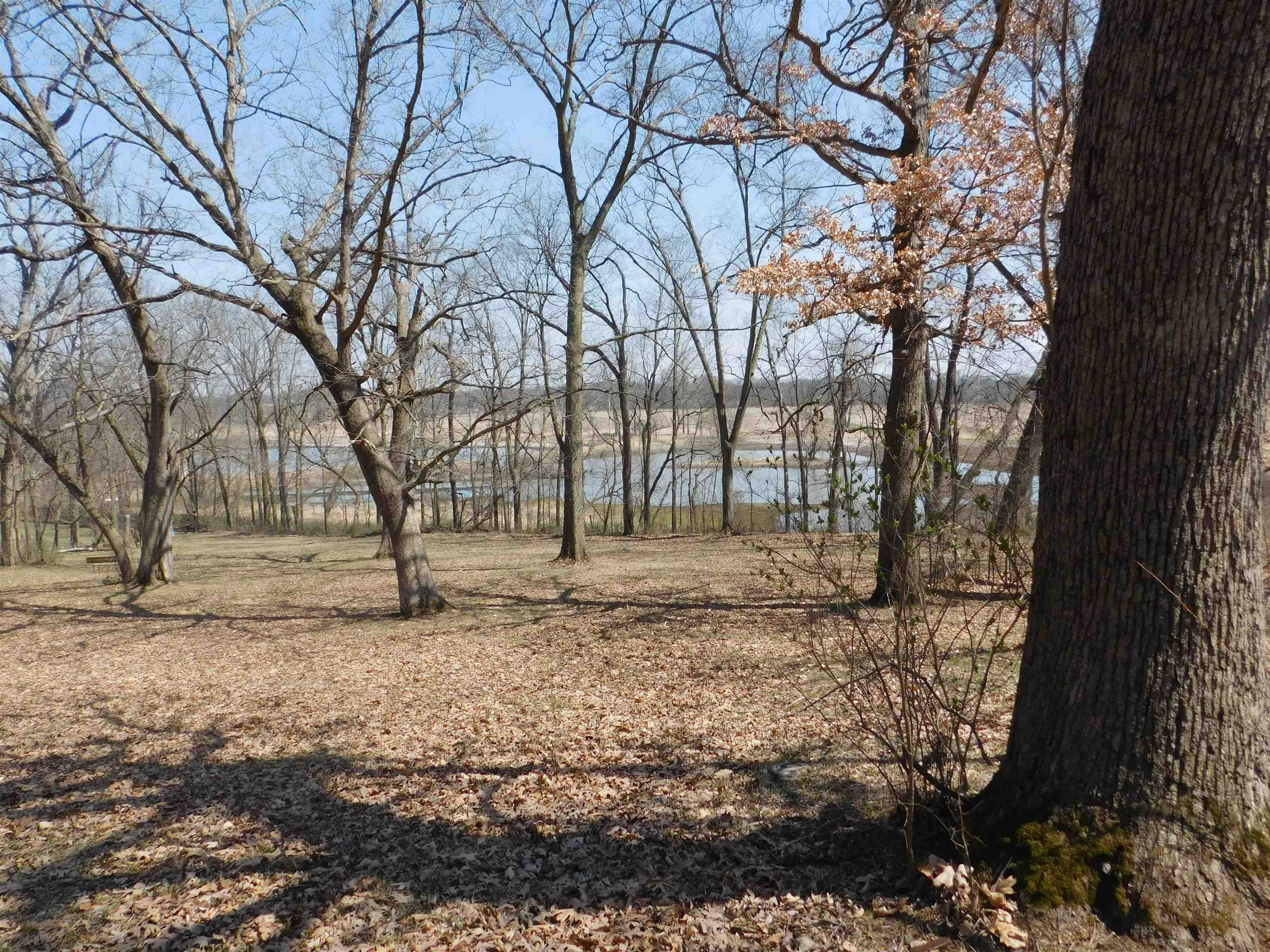 4103 North AYP Road Lena, IL 61048 - Photo 27 of 96 a backyard of a house with lots of green space