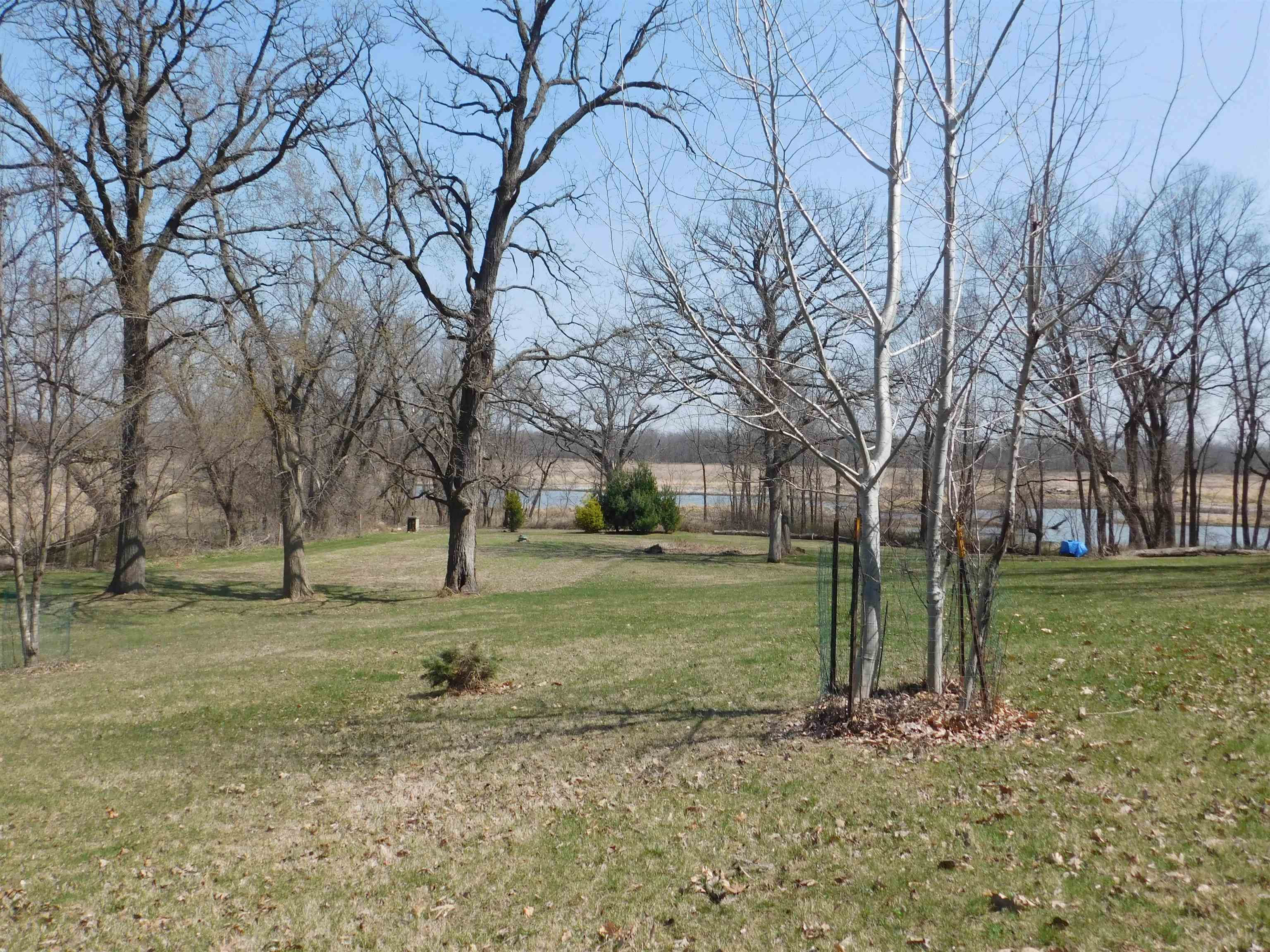 4103 North AYP Road Lena, IL 61048 - Photo 29 of 96 a view of a yard with a tree