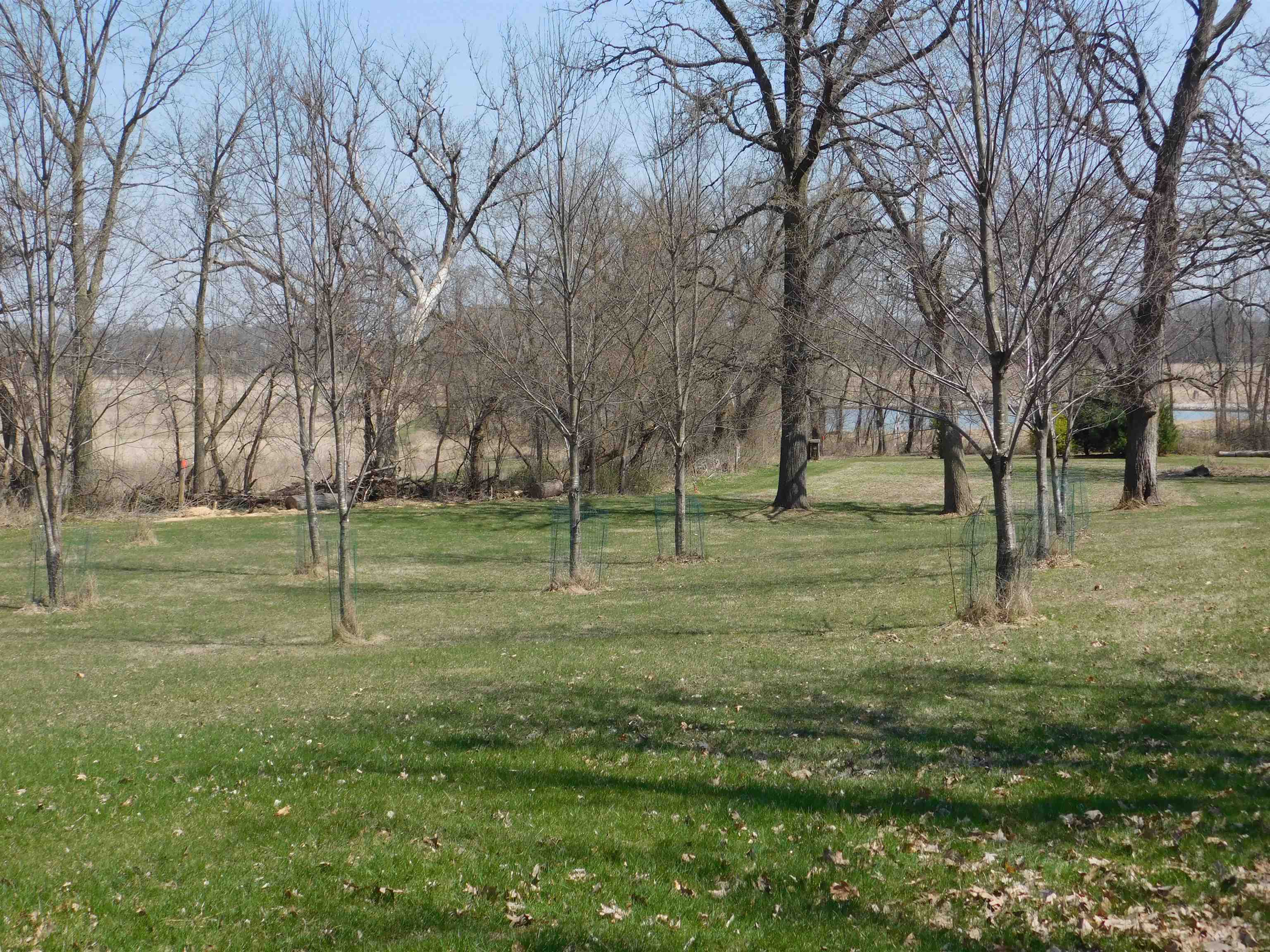 4103 North AYP Road Lena, IL 61048 - Photo 37 of 96 a view of a park with large trees