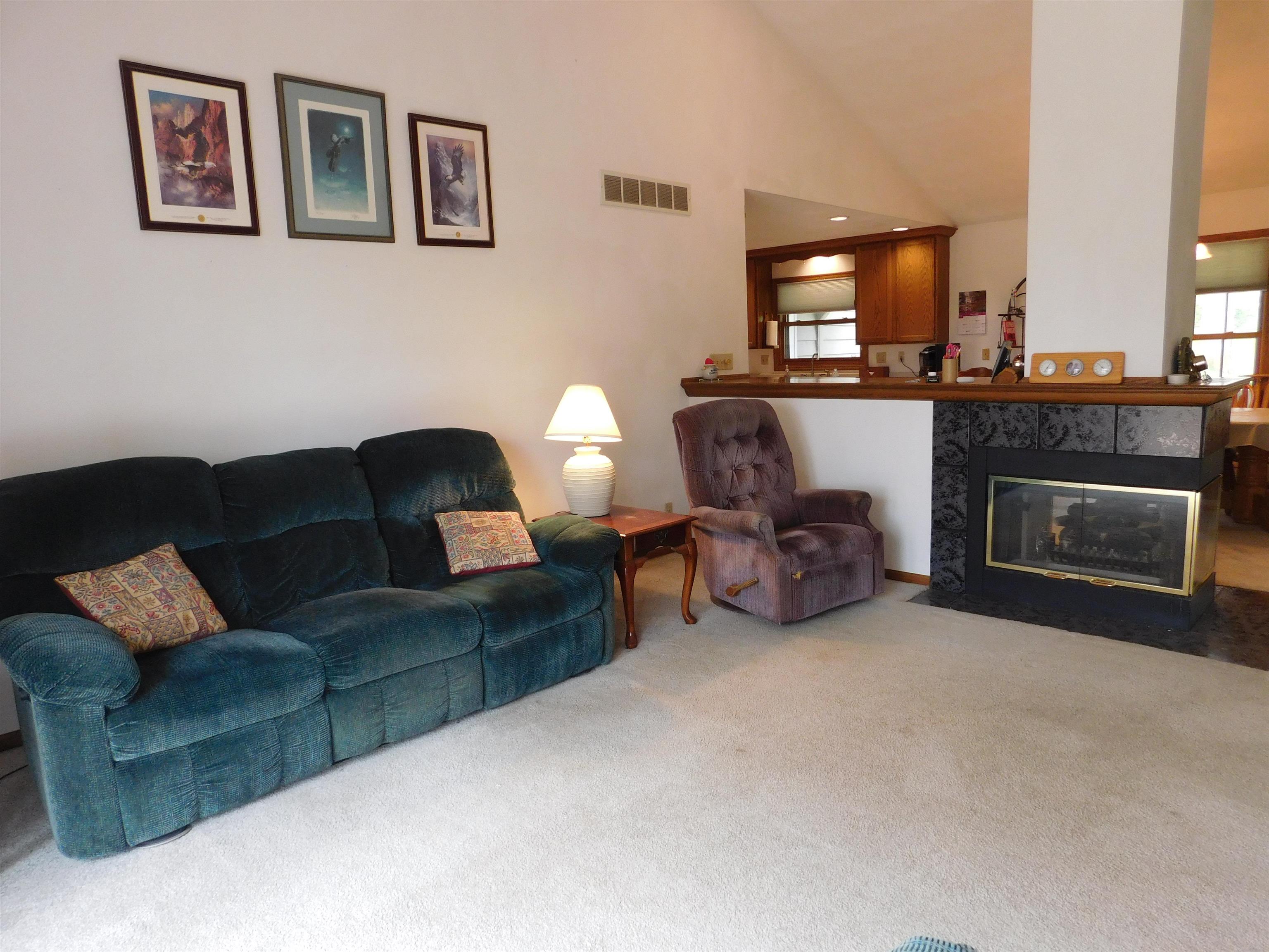 4103 North AYP Road Lena, IL 61048 - Photo 58 of 96 a living room with furniture and a fireplace