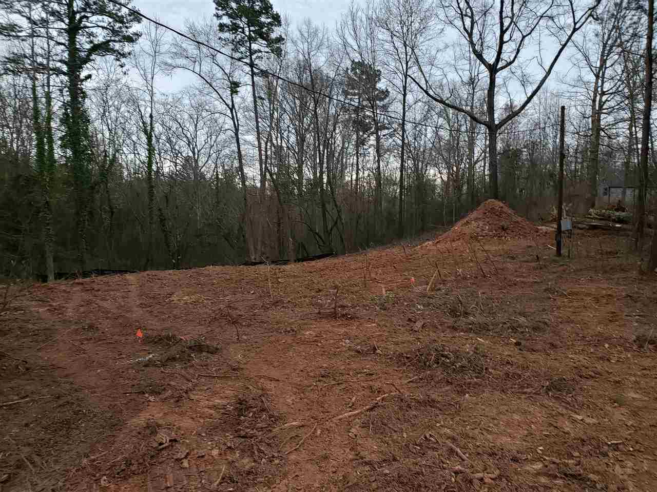 Lot 3 Beacon Light Road Spartanburg, SC 29307 - Photo 4 of 4 Gallery Image 4