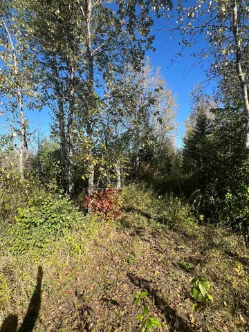 $30,000 | 133 Meadowlands Mn 55765, Meadowlands, MN 55765