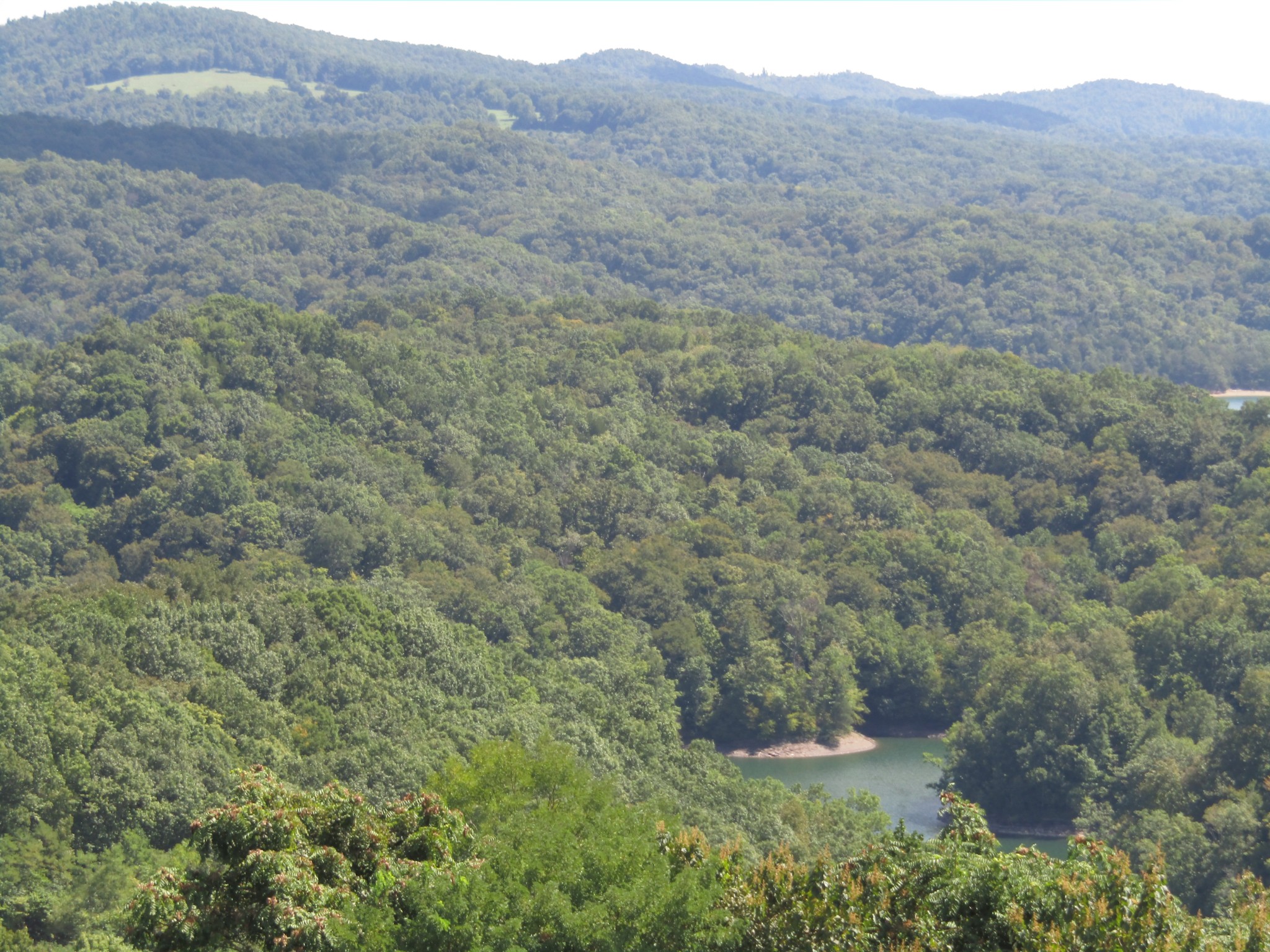 48 Swan Ridge Road East Celina, TN 38551 - Photo 12 of 26 a view of a lush green field