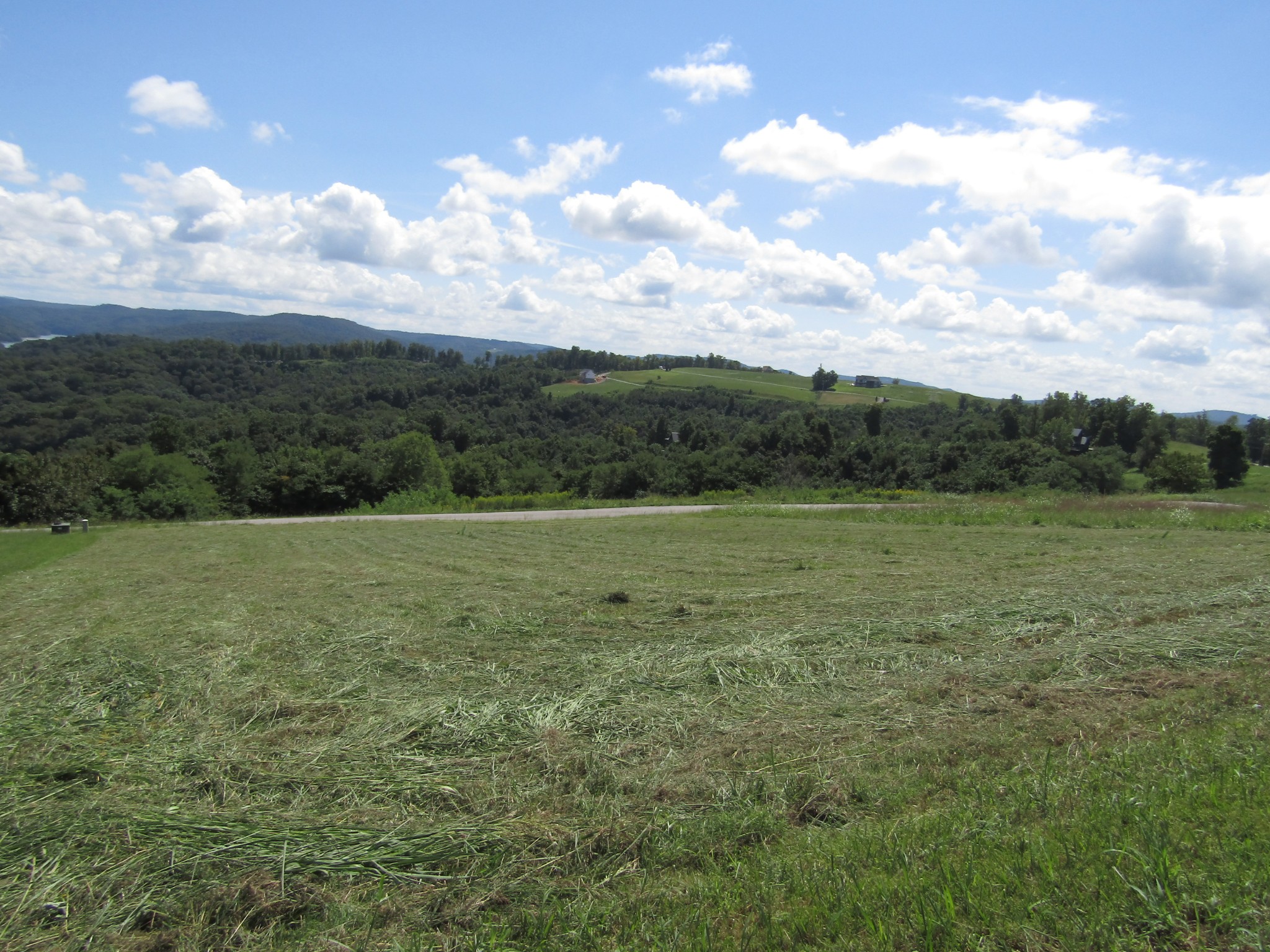 48 Swan Ridge Road East Celina, TN 38551 - Photo 13 of 26 a view of a field with wooden fence