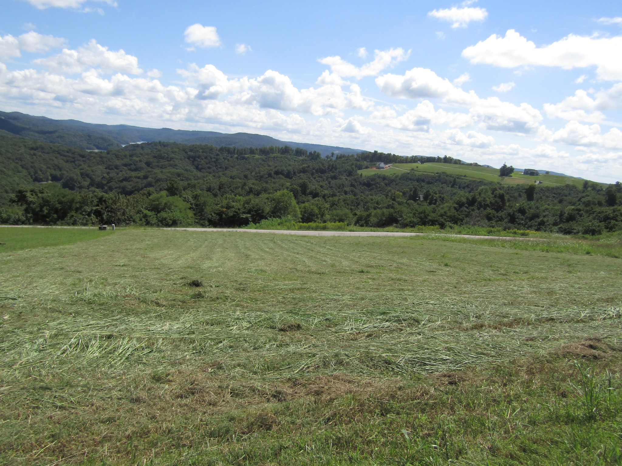 48 Swan Ridge Road East Celina, TN 38551 - Photo 15 of 26 a view of field with trees in the background