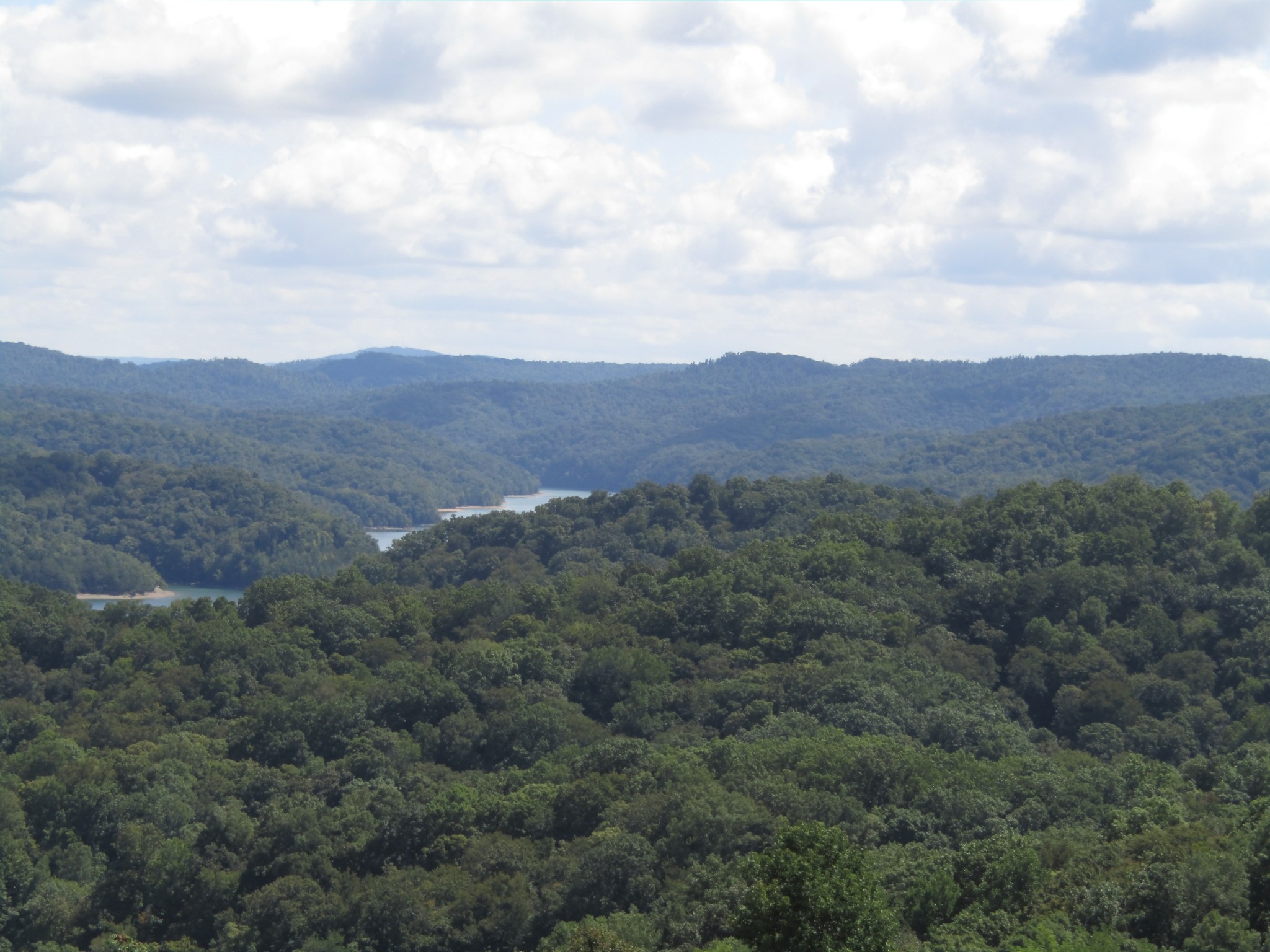 48 Swan Ridge Road East Celina, TN 38551 - Photo 18 of 26 a view of a mountain in the distance in a field