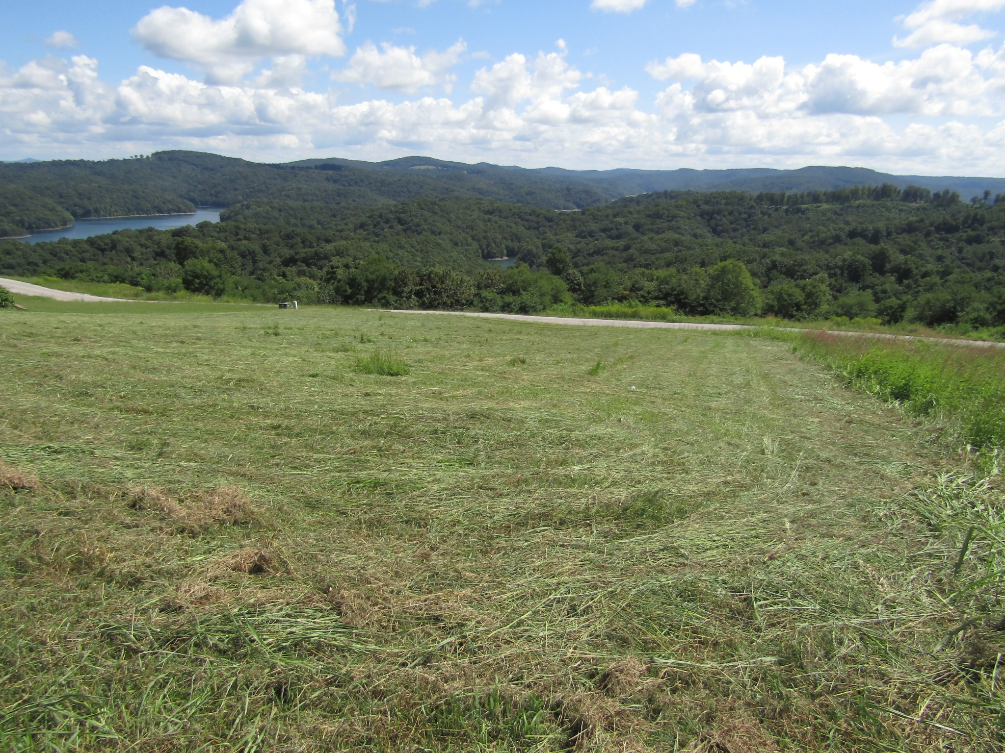 48 Swan Ridge Road East Celina, TN 38551 - Photo 4 of 26 a view of a field with an ocean