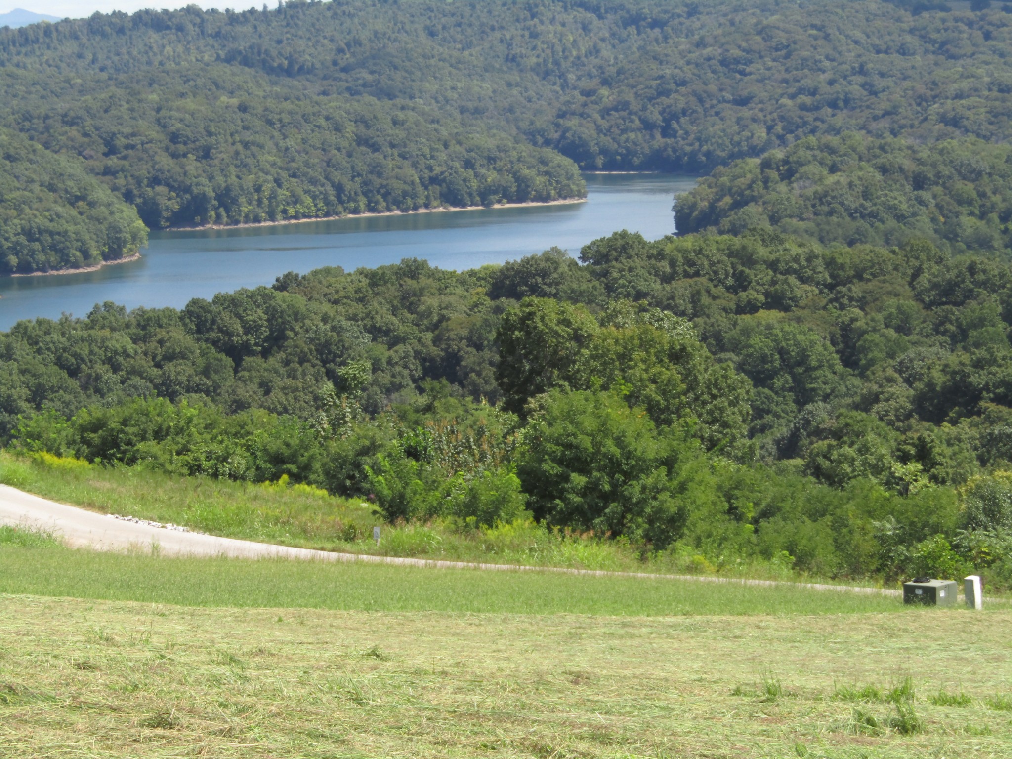 48 Swan Ridge Road East Celina, TN 38551 - Photo 6 of 26 a view of a lake with a yard
