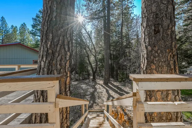 a view of a house with large trees