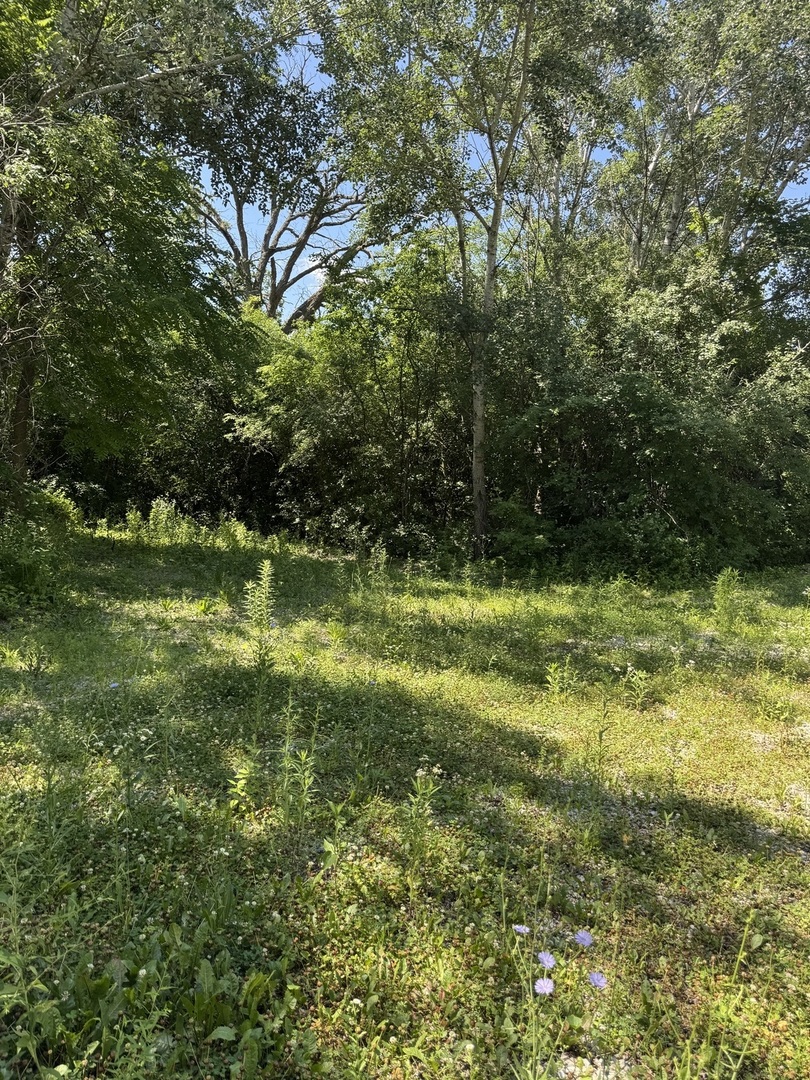 36432 North Fairfield Road Ingleside, IL 60041 - Photo 17 of 19 Gallery Image 17