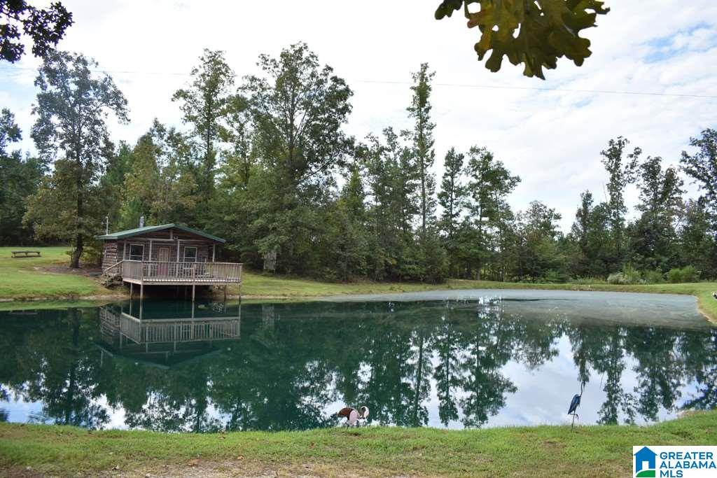 2262 Gilberts Ferry Road Ohatchee, AL 36271 - Photo 33 of 47