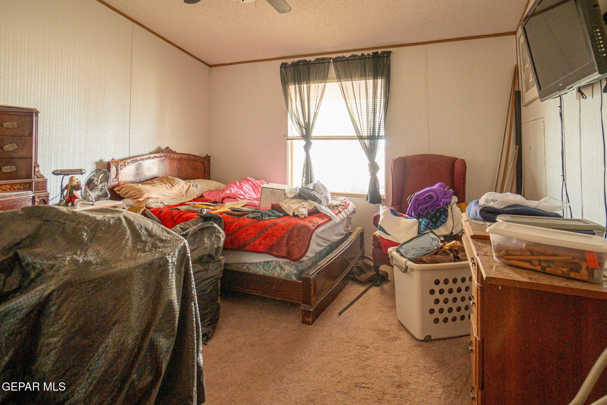 255 Windgail Road Clint, TX 79836 - Photo 15 of 18 Windgail-5